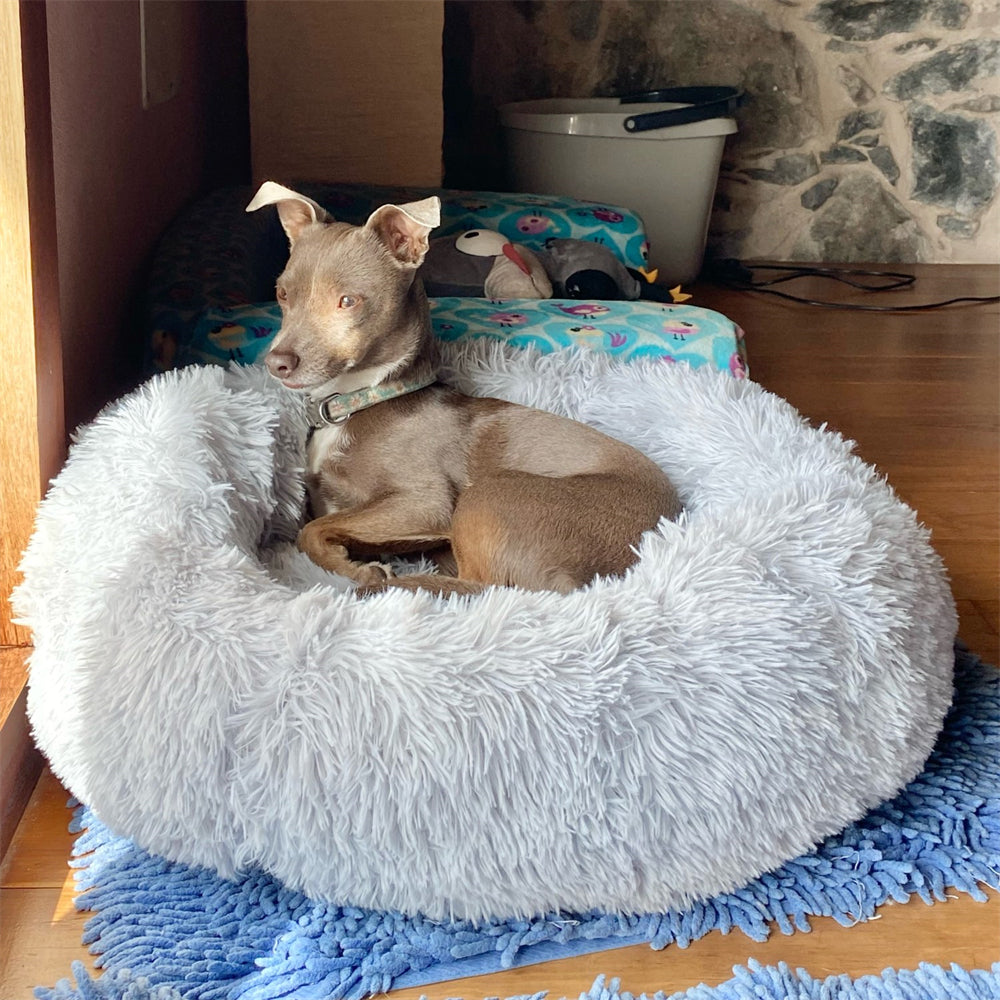 coussin-pour-chien-gris-apaisant