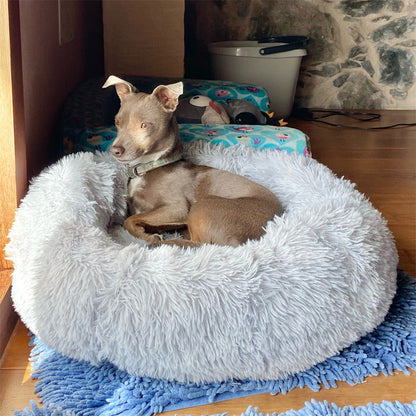 coussin-chien-xxl-gris-face