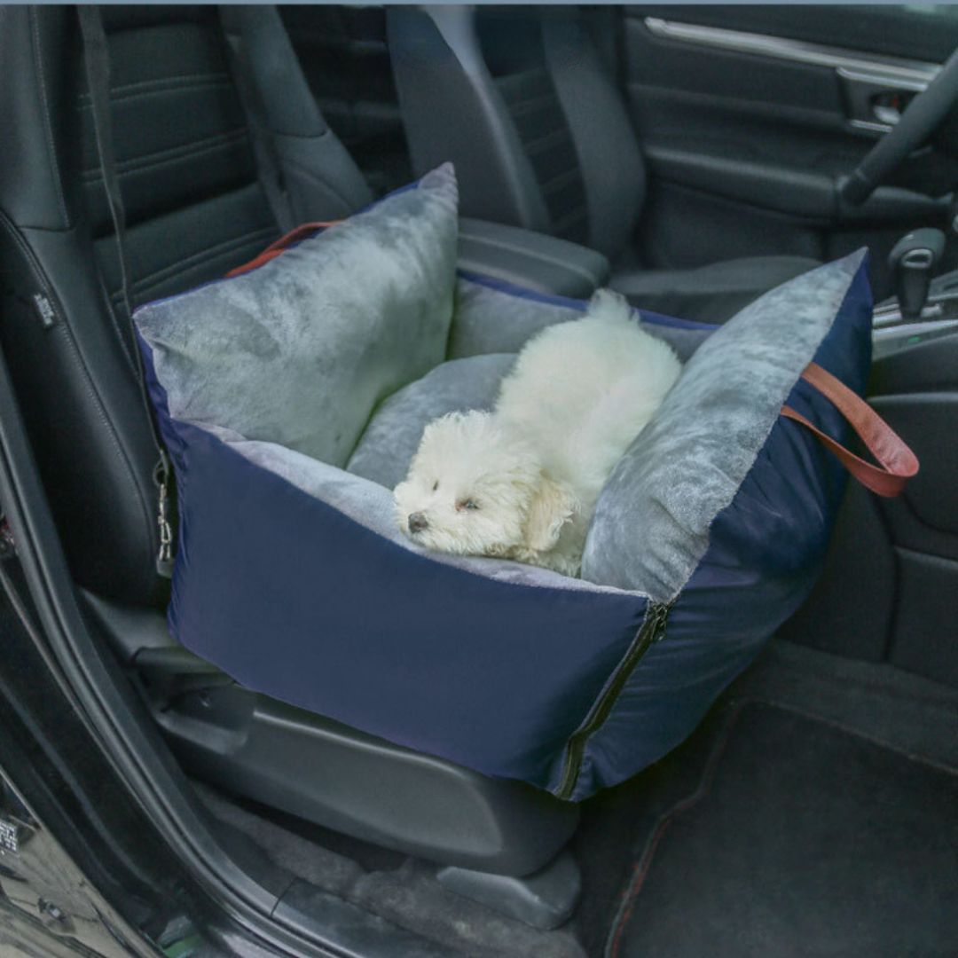 coussin-pour-chien-et-siege-auto-chien-bleu