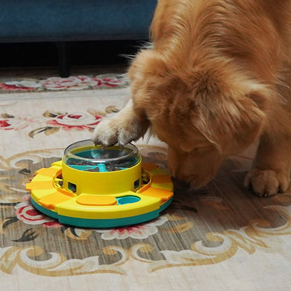 jeu-intelligence-chien-anti-glouton