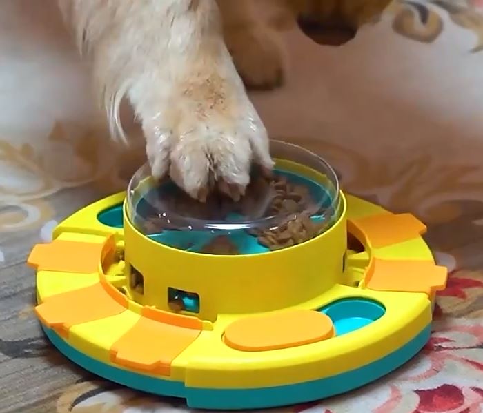 jeu-intelligence-chien-anti-glouton