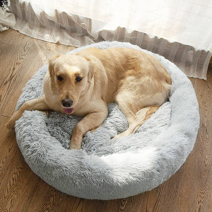 coussin-chien-xxl-gris-labrador